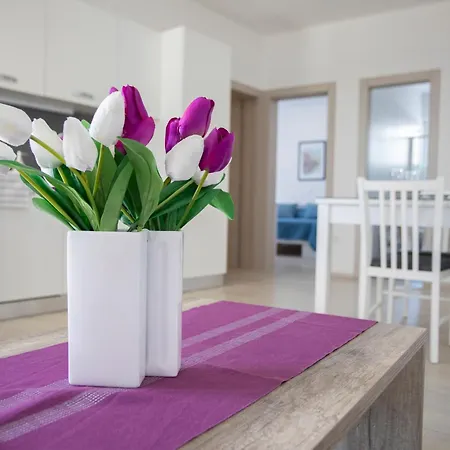 Atena B Appartement